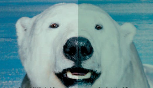 龙8头号玩家(国际)官方网站