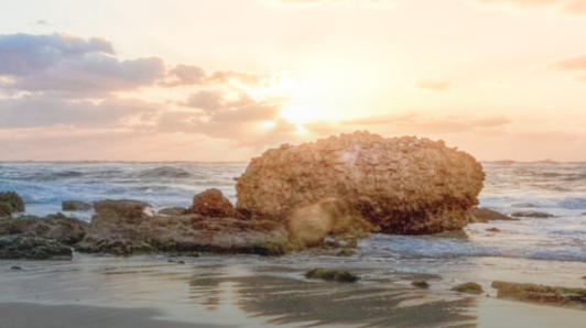 龙8头号玩家(国际)官方网站