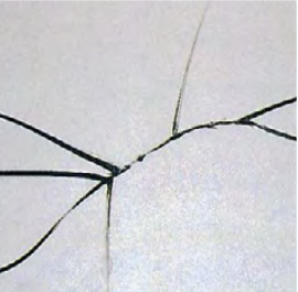 龙8头号玩家(国际)官方网站