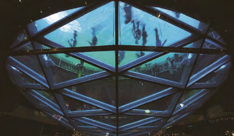 龙8头号玩家(国际)官方网站